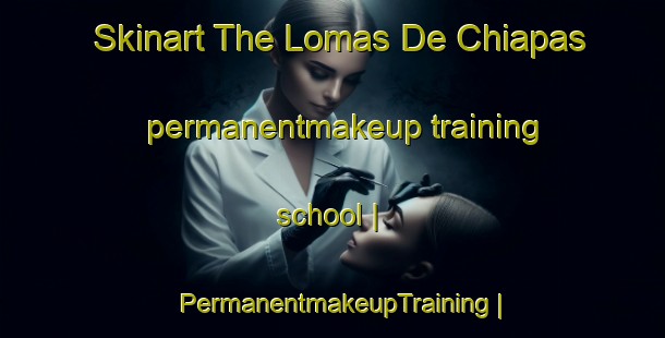 Skinart The Lomas De Chiapas permanentmakeup training school | PermanentmakeupTraining | PermanentmakeupClasses | SkinartTraining-Mexico
